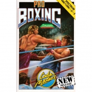 Pro Boxing Simulator