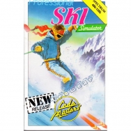 Professional Ski Simulator