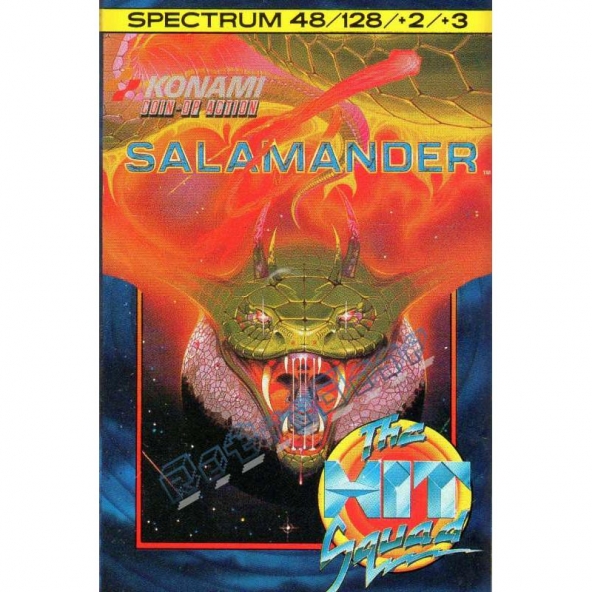 Salamander