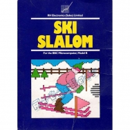 Ski Slalom